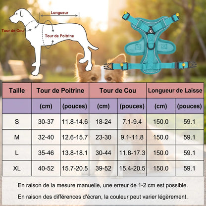 Harnais lumineux pour chien led | Sécurité nocturne