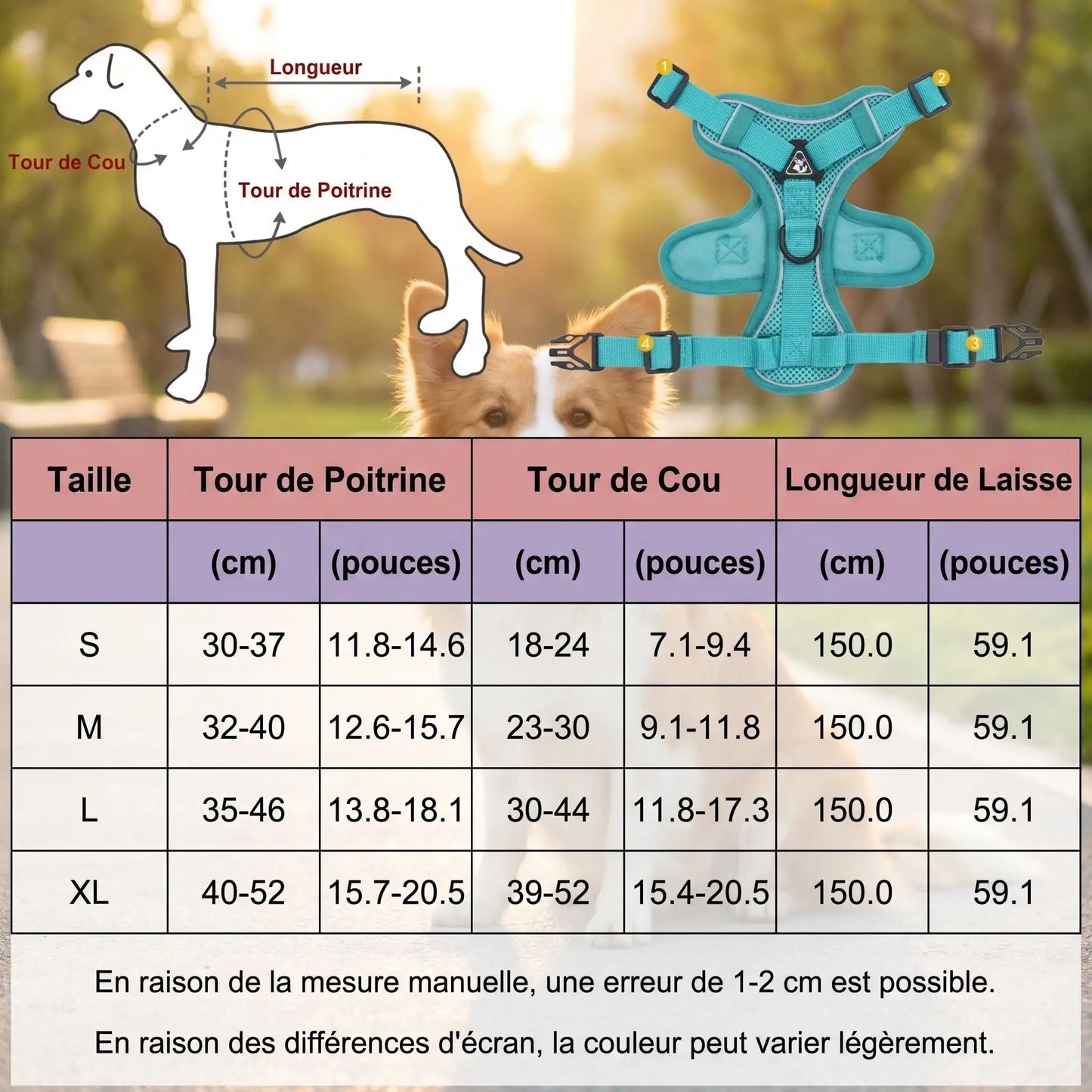 Harnais confortable pour chien | Majesté