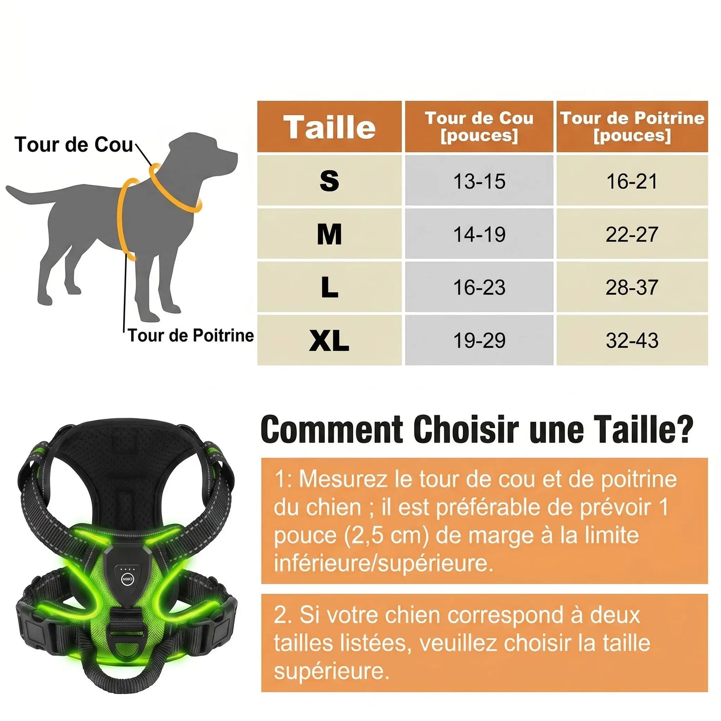 Harnais lumineux pour chien led | Sécurité nocturne