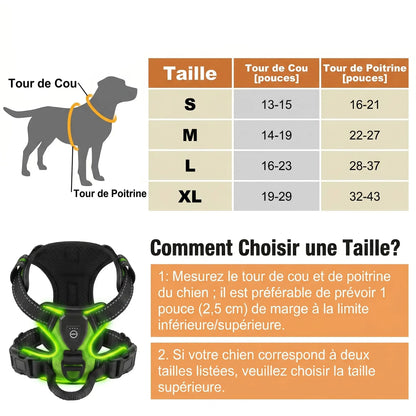 Harnais lumineux pour chien led | Sécurité nocturne