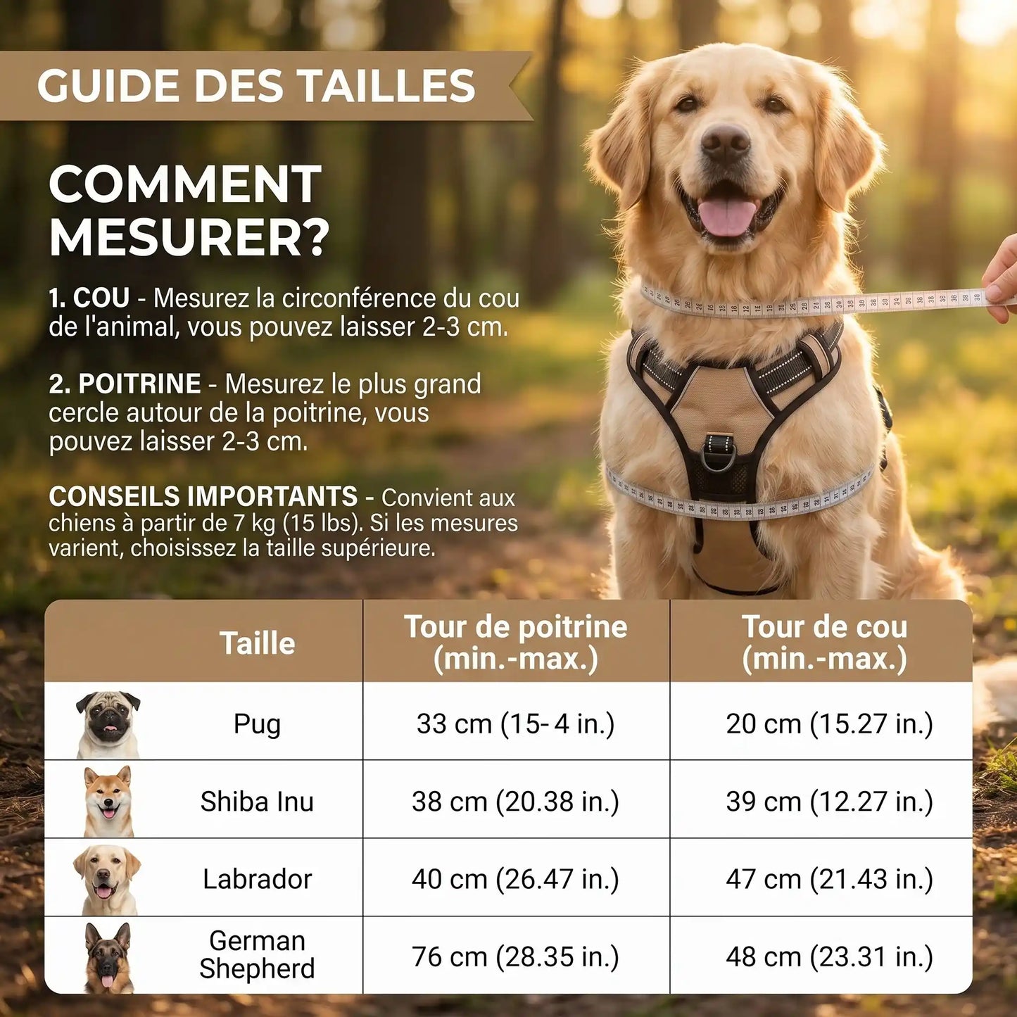Harnais lumineux pour chien Led– Sécurité nocturne