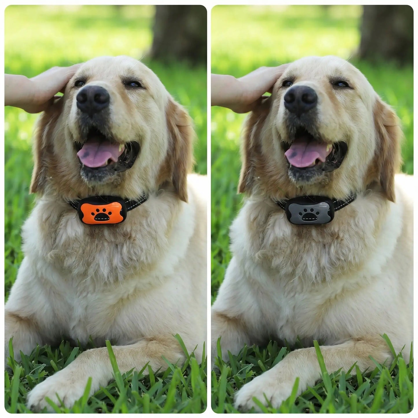 Collier anti-aboiement sonore pour chien – solution douce et sans choc