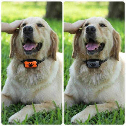 Collier anti-aboiement sonore pour chien – solution douce et sans choc