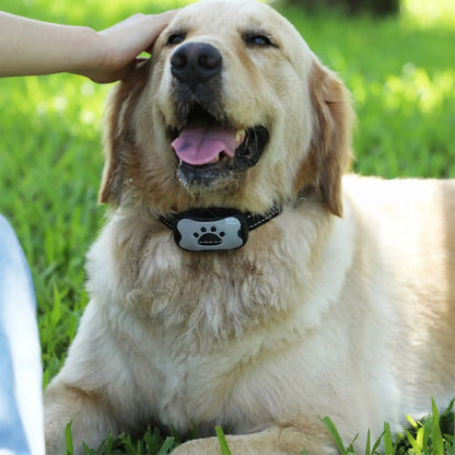 Collier anti-aboiement sonore pour chien – solution douce et sans choc