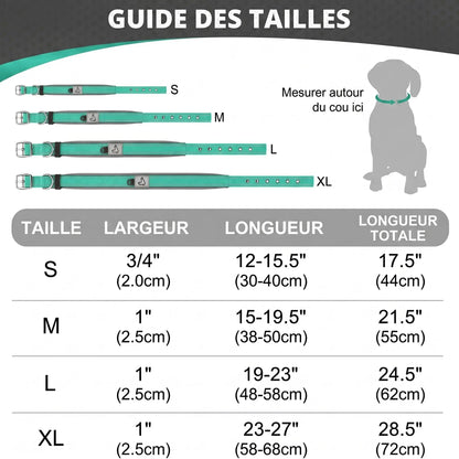 Collier pour chien confortable et résistant |Jade