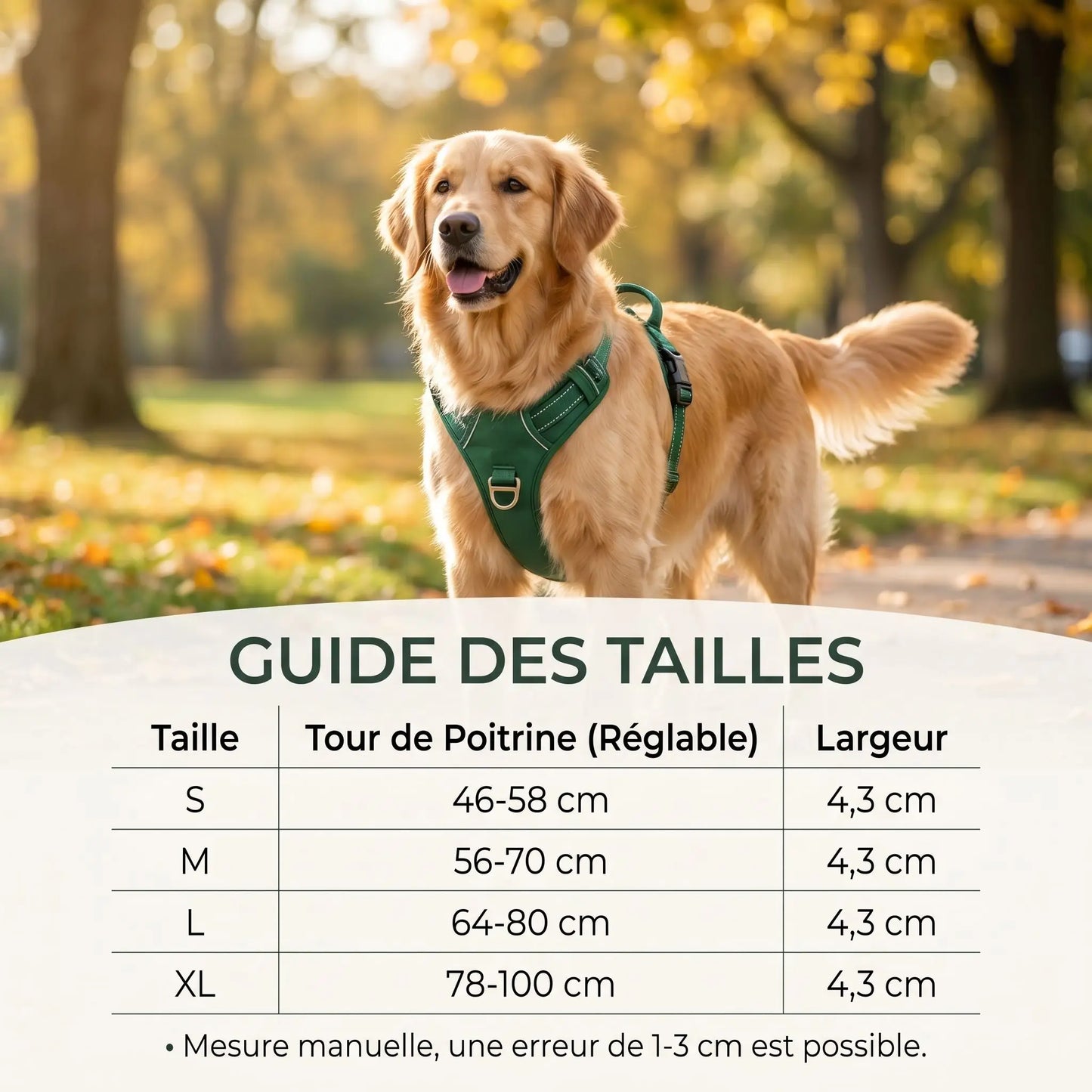 Harnais Anti-Traction pour Chien | Confort et Contrôle en Promenade