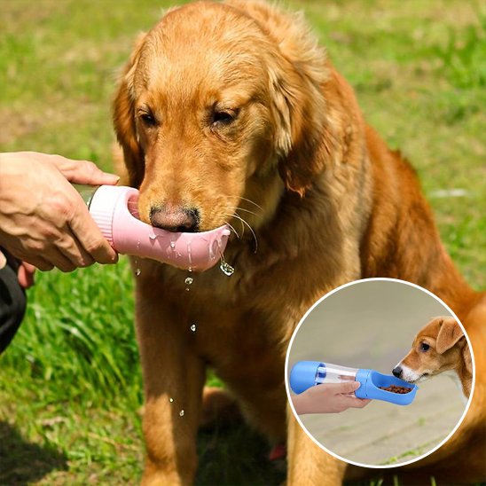 Gourde chien démontage aisé des compartiments pour entretien régulier
