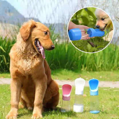 Gourde chien dimensions optimisées 