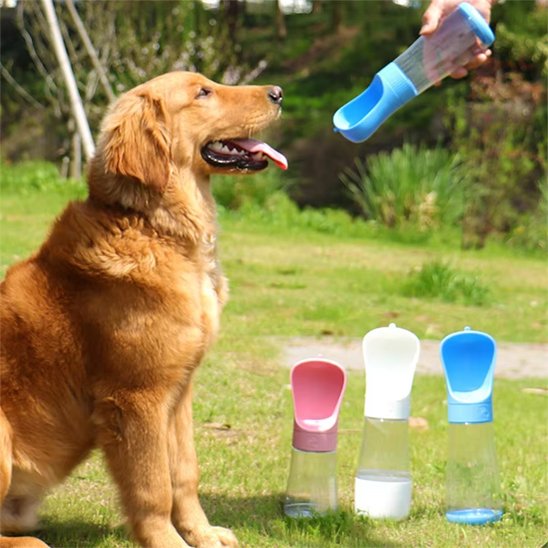 Gourde chien Idéal pour promenades, randonnées
