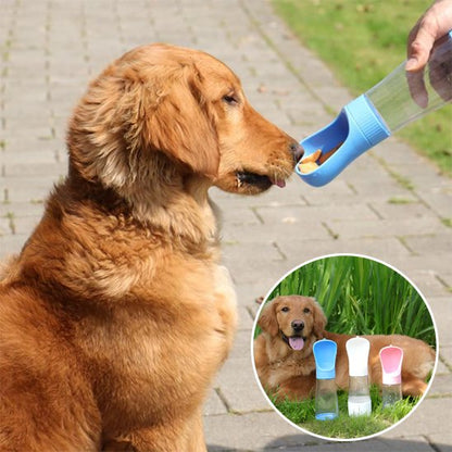 Gourde chien réservoir d'eau et compartiment alimentaire 