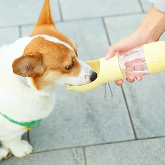 Gourde pour chien abreuvoir incliné: cuvette adaptée 