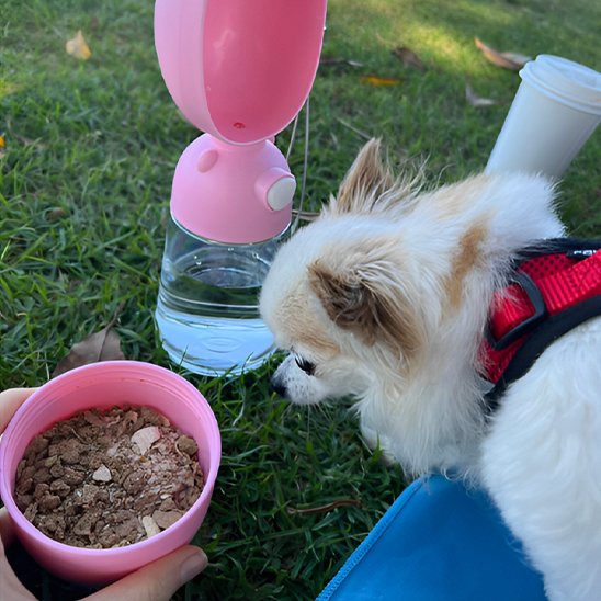 Gourde pour chien/ Bouton de distribution
