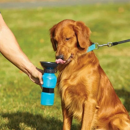 Gourde pour chien​/ Capacité adaptée aux sorties