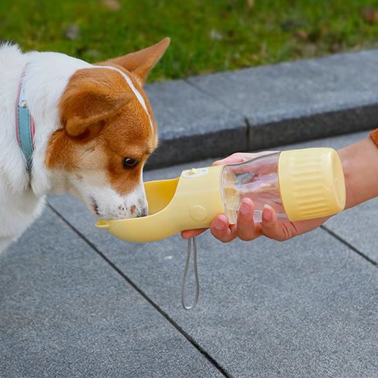Gourde pour chien capacité transparente: réservoir visible 