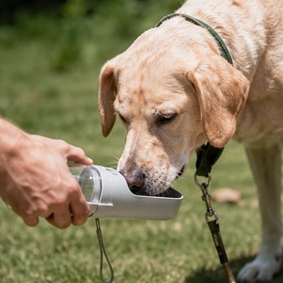 Gourde pour Chien composants démontables permettant un nettoyage simple et hygiénique