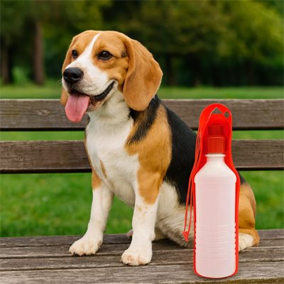 Gourde pour Chien/ Conception portable: