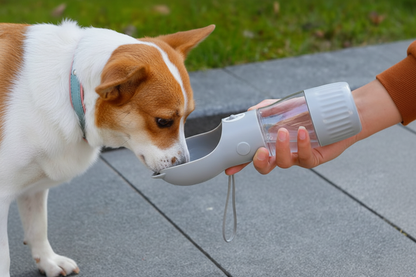 Gourde pour chien grise
