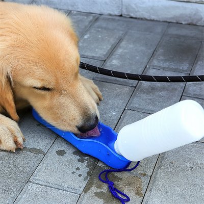 Gourde pour Chien/ Matériaux sans danger
