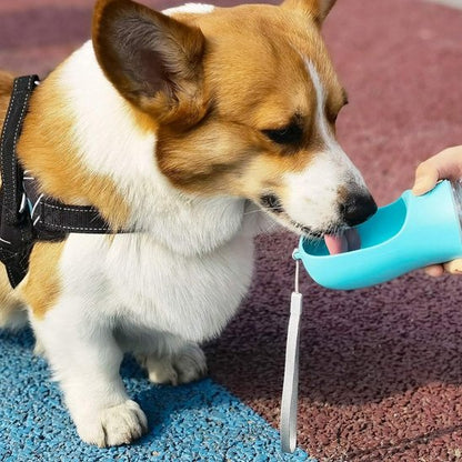 Gourde pour chien nettoyage simplifié