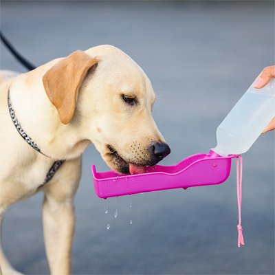Gourde pour Chien /Système anti-fuite: