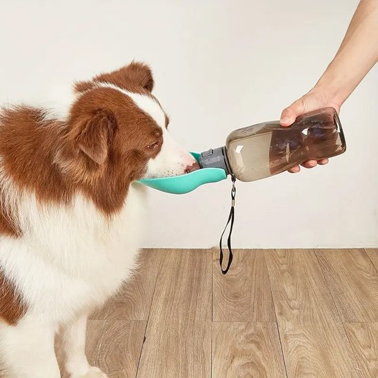 Gourde pour chien​ / Utilisation intuitive: