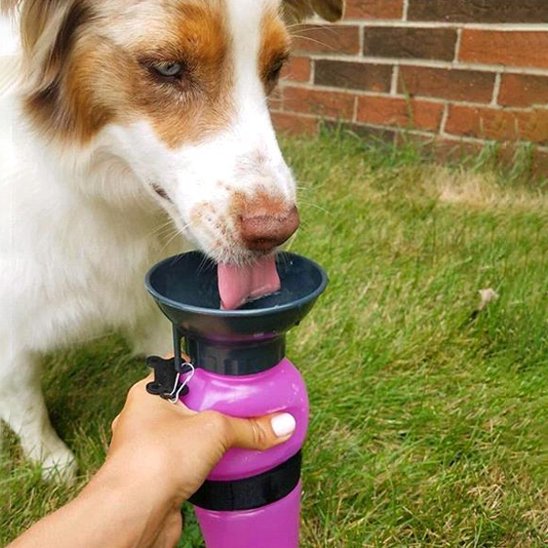Gourde pour chien​/Bol intégré rabattable