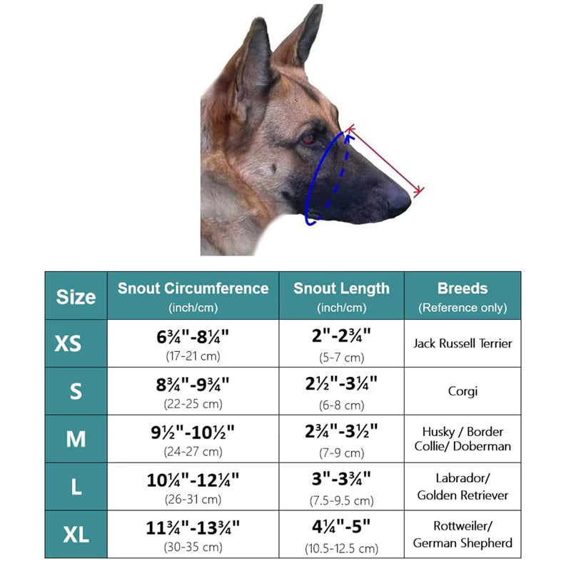 MUSELIERE CHIEN |TOUTOUCOOL
