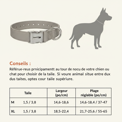 Guide des tailles collier chien en français