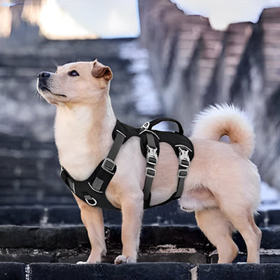 harnais pour chien poignee et reglable