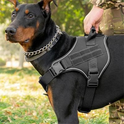 harnais chien anti-traction gilet de dressage 
