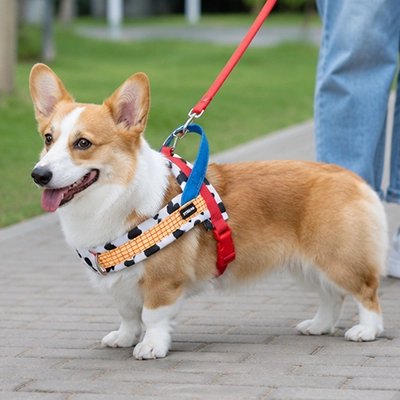 harnais coloré pour chien type Corgi sans pression sur le cou
