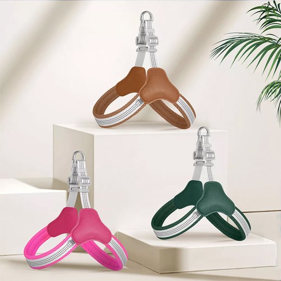 harnais pour chien couleurs differentes