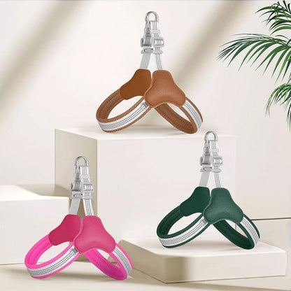 harnais pour chien couleurs differentes