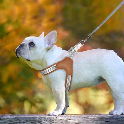 harnais pour chien coutures renforcées