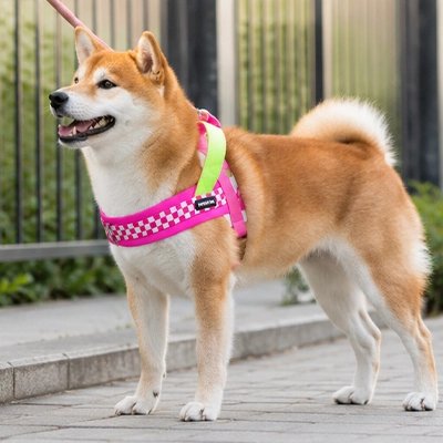 Harnais pour Chien réglage ajustable multipoints
