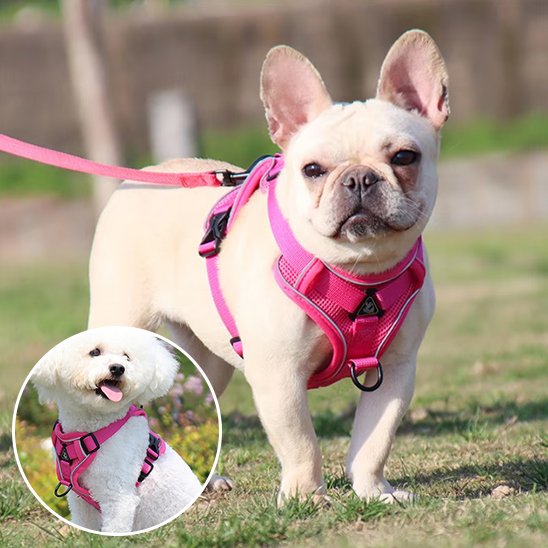 harnais pour chien rembourré d'un coussin confortable