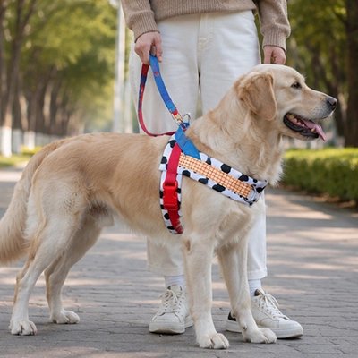 Harnais pour Chien rembourrage sur les zones de contact