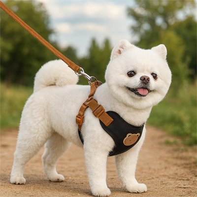 harnais pour petit chien ajustable