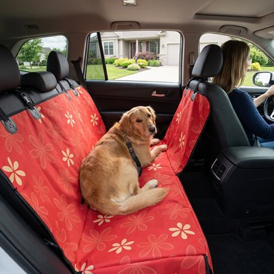 Housse voiture chien rouge et decoratif