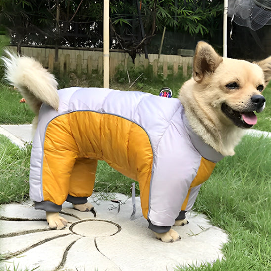 Manteau pour chien | PolarProtect