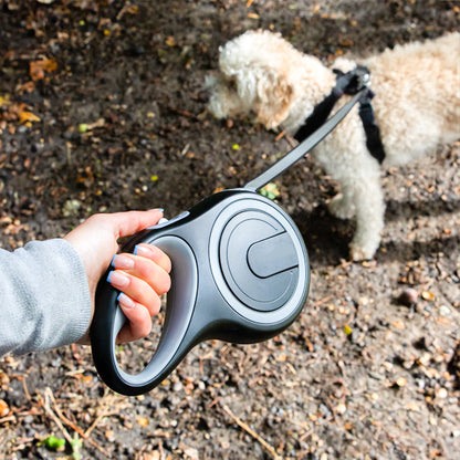 Laisse pour Chien Enrouleur Rétractable | Securi-Promenade