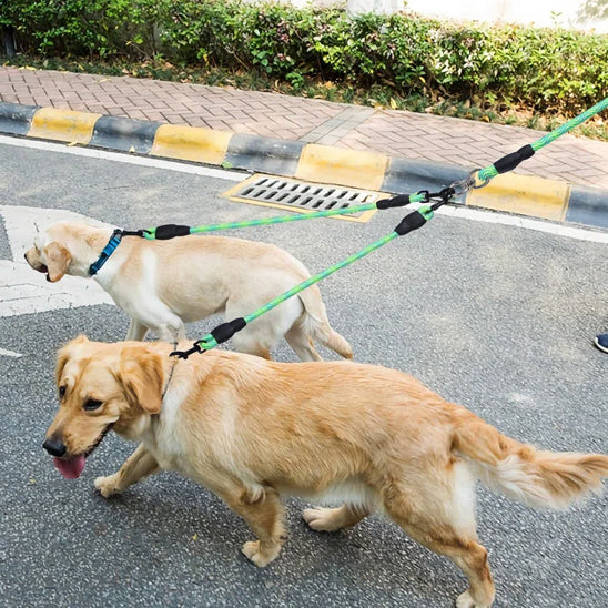 Laisse double pour chien | Confort Control