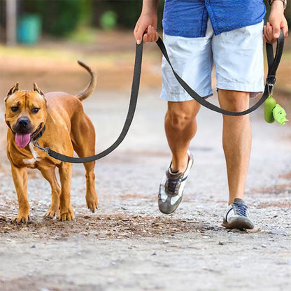 Laisse pour chien | Robuste