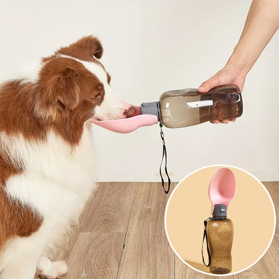 Gourde pour chien portable et étanche | Chien Valet