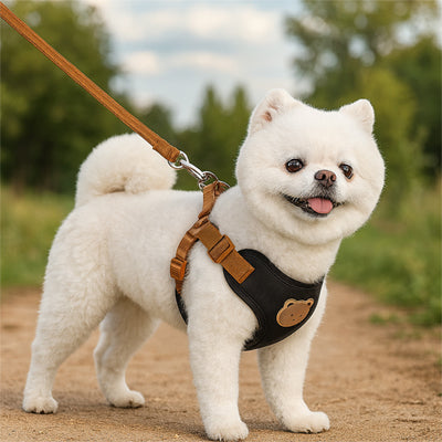 Harnais pour Petit Chien : confort et sécurité au quotidien