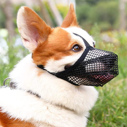 MUSELIERE CHIEN |TOUTOUCOOL