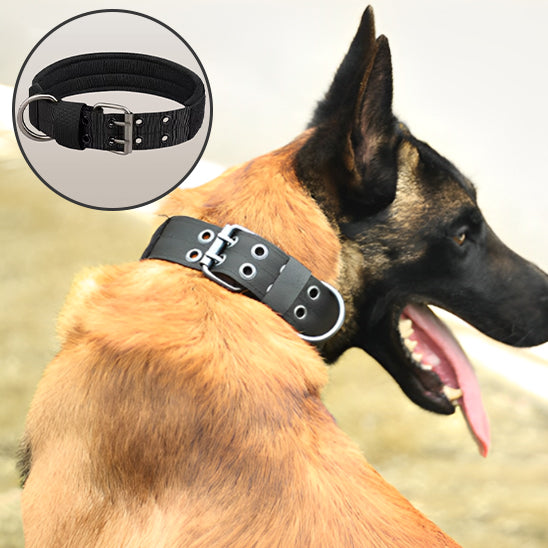 Collier tactique pour chien robuste et confortable | Tactik Comfort