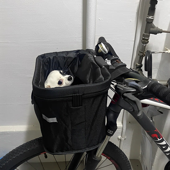 Panier velo chien | Canin Co-Pilote