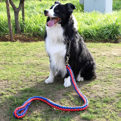 Laisse pour Chien - Robuste & tresse