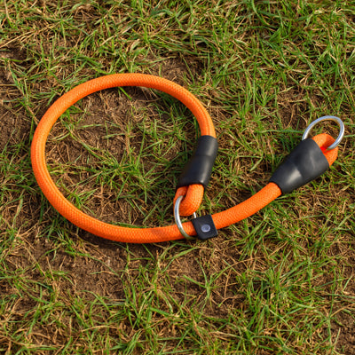 Collier anti-traction pour chien : plus de contrôle, moins de traction